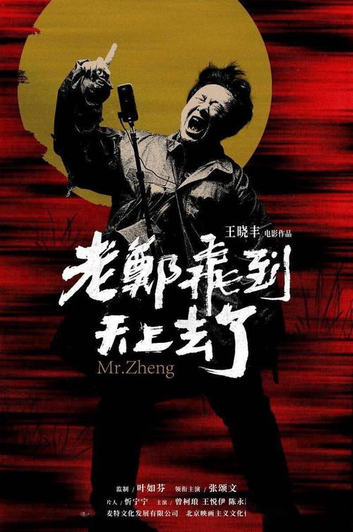 缅甸国际驾照怎么申请